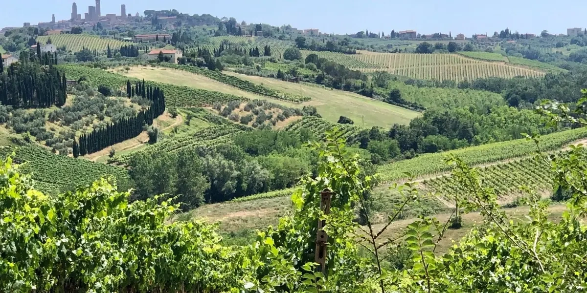 Hvor skal familien rejse hen til sommer? Her er 5 gode bud